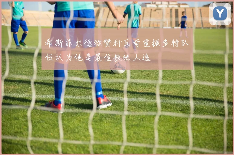 希斯菲尔德称赞科瓦奇重振多特队伍认为他是最佳教练人选